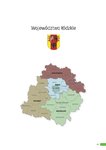 Raport 2013 - woj. łódzkie.pdf