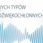 PRESS GLASS rozszerza ofertę dźwiękochłonnych szyb zespolonych