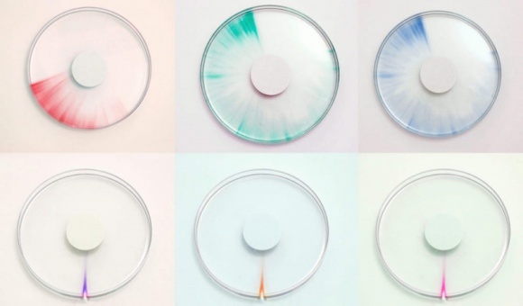 Poznaliśmy finalistów konkursu Lexus Design Award 2016 Przemysł, BIZNES - Spośród 1232 zgłoszeń wybrano 12 finalistów pochodzących z całego świata. Czterech z nich wykona prototypy swoich projektów pod okiem mentorów, a finałowe prace zostaną zaprezentowane na wystawie Lexusa podczas Milan Design Week 2016.