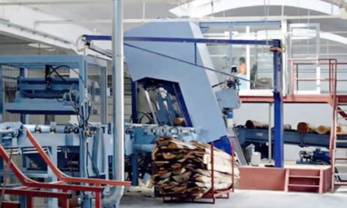 Linia Primultini przeciera drewno bukowe na markowe krzesła