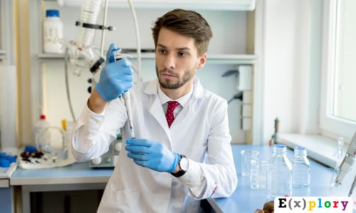 Kariera usłana ekspertami