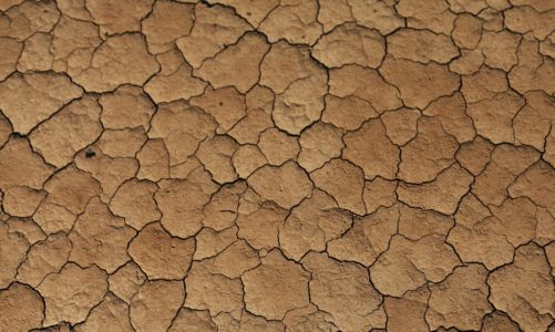 Czy Europa poradzi sobie z historyczną suszą?