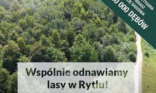 POSADŹ 100 000 DĘBÓW ZE SZTYGAREM!