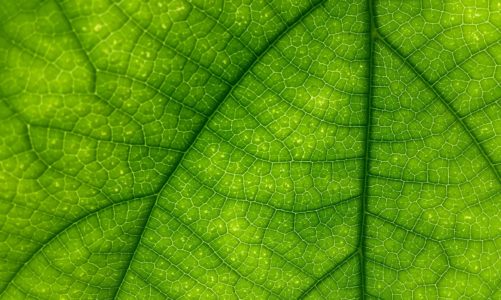 Świadomość klimatyczna Polaków: ile tak naprawdę wiemy o postępujących zmianach