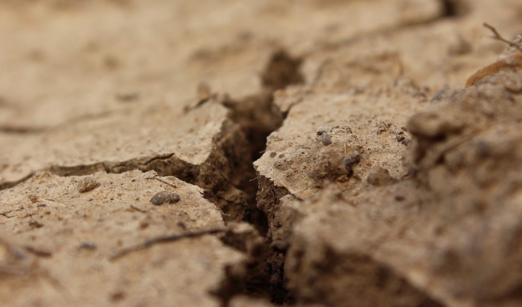 Nawalne deszcze a susza. Czy Polsce w dalszym ciągu zagraża susza?