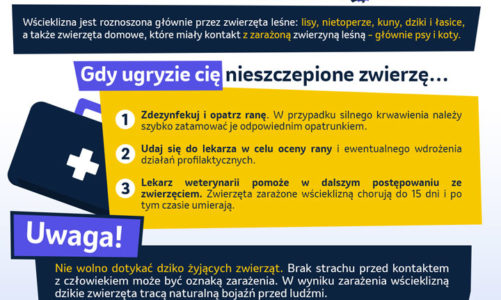 Wścieklizna (łac.rabies) – śmiertelna choroba zakaźna, przed którą możemy się chronić